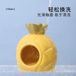 Image 15: TAFIT Pineapple Hideout