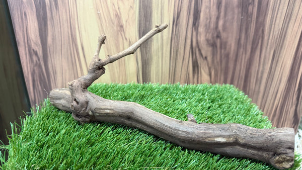 Grapevine Wood