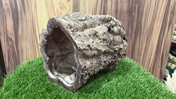 Tree Trunks Tunnel (5 designs)