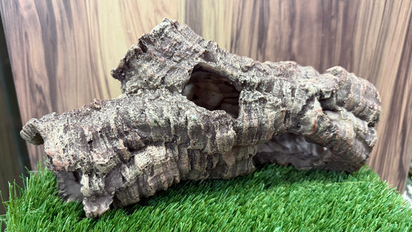 Tree Trunks Tunnel (5 designs)