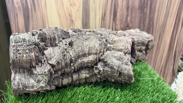 Tree Trunks Tunnel (5 designs)