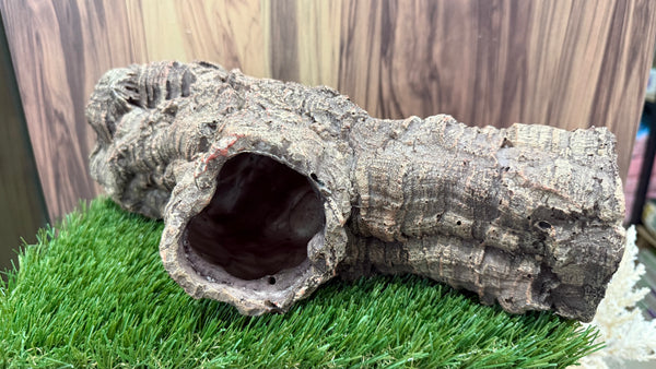 Tree Trunks Tunnel (5 designs)