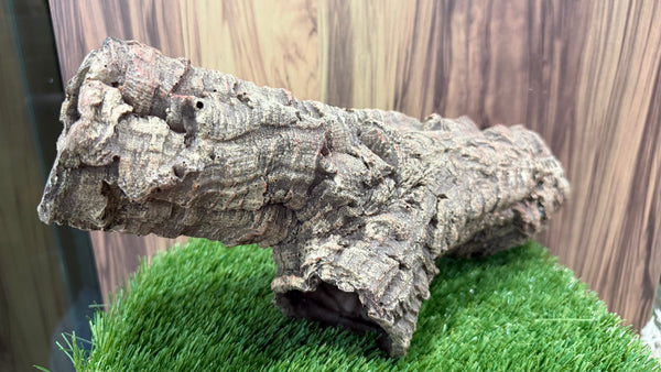 Tree Trunks Tunnel (5 designs)