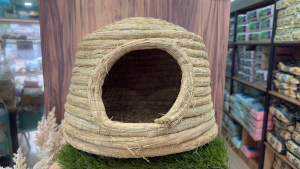 Hideout for Guinea Pigs