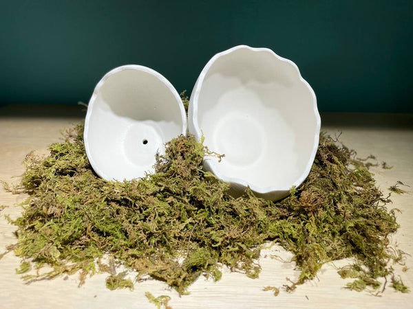 Half Egg Ceramic Bowl (Available in 2 sizes)