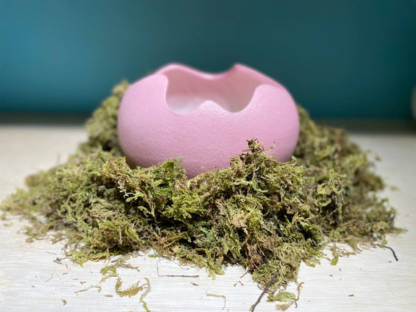Egg Ceramic Hideout