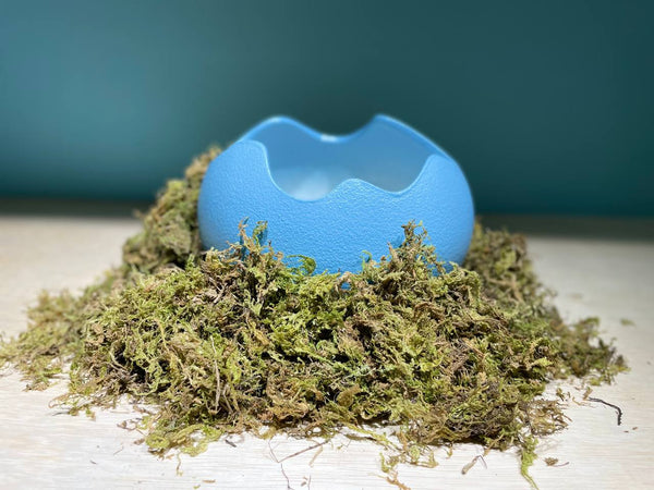 Egg Ceramic Hideout