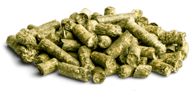 Enjoy Nature Allgau FreshGreen Snack - with Dandelion 450g