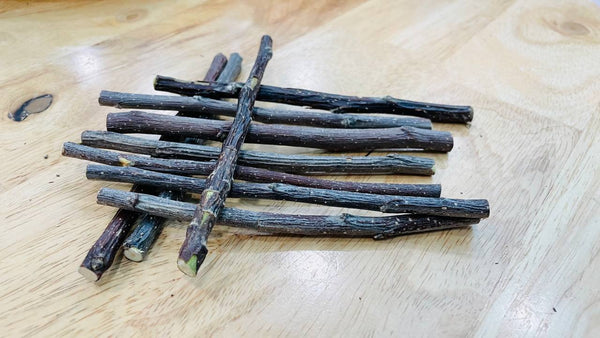 Pet Fables Apple Chew Sticks 100gm