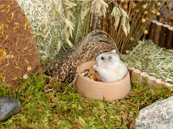 Niteangel Wooden Food Bowl (2 sizes)