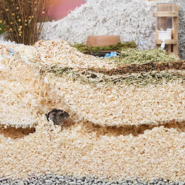 Niteangel Aspen Shavings 65L
