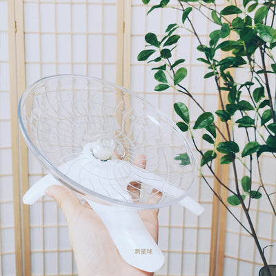 Hedeghog Planet White Saucer 18cm