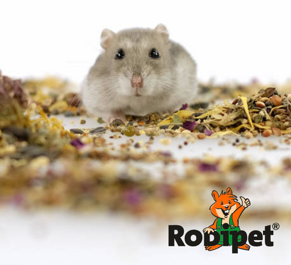 *NEW* Rodipet Dwarf "Variety" 500g