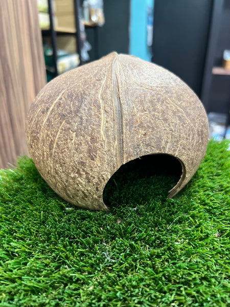 Half Coconut Hideout L