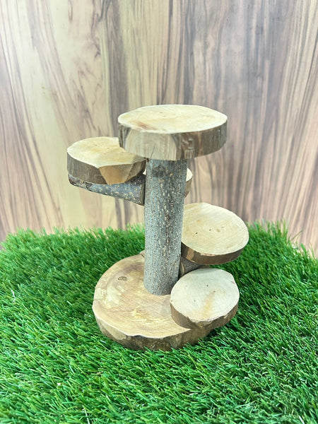Apple Wood Multi-Level Platform