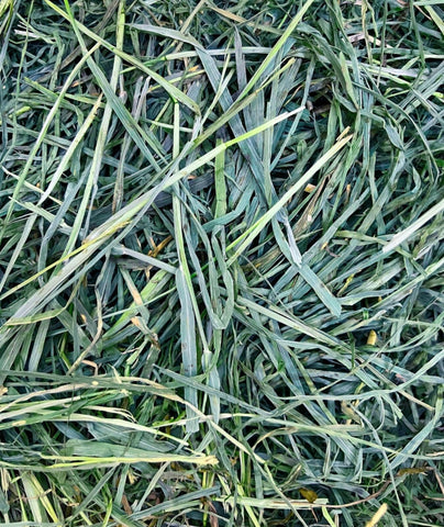 Timothy Hay (2 Kg)