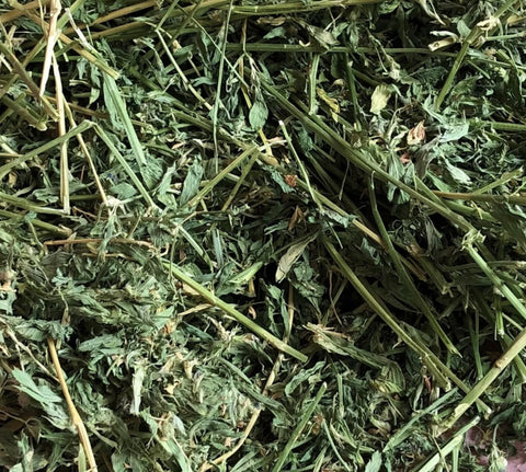 Alfafa Hay (500g)