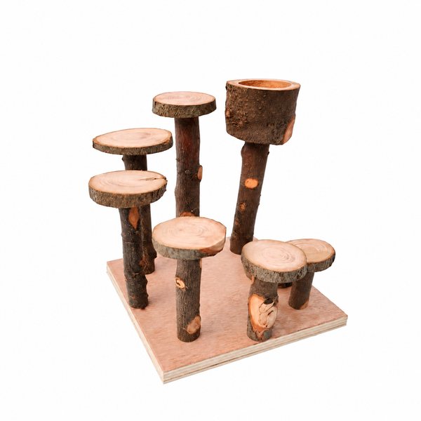 Hamster Exercise Platform