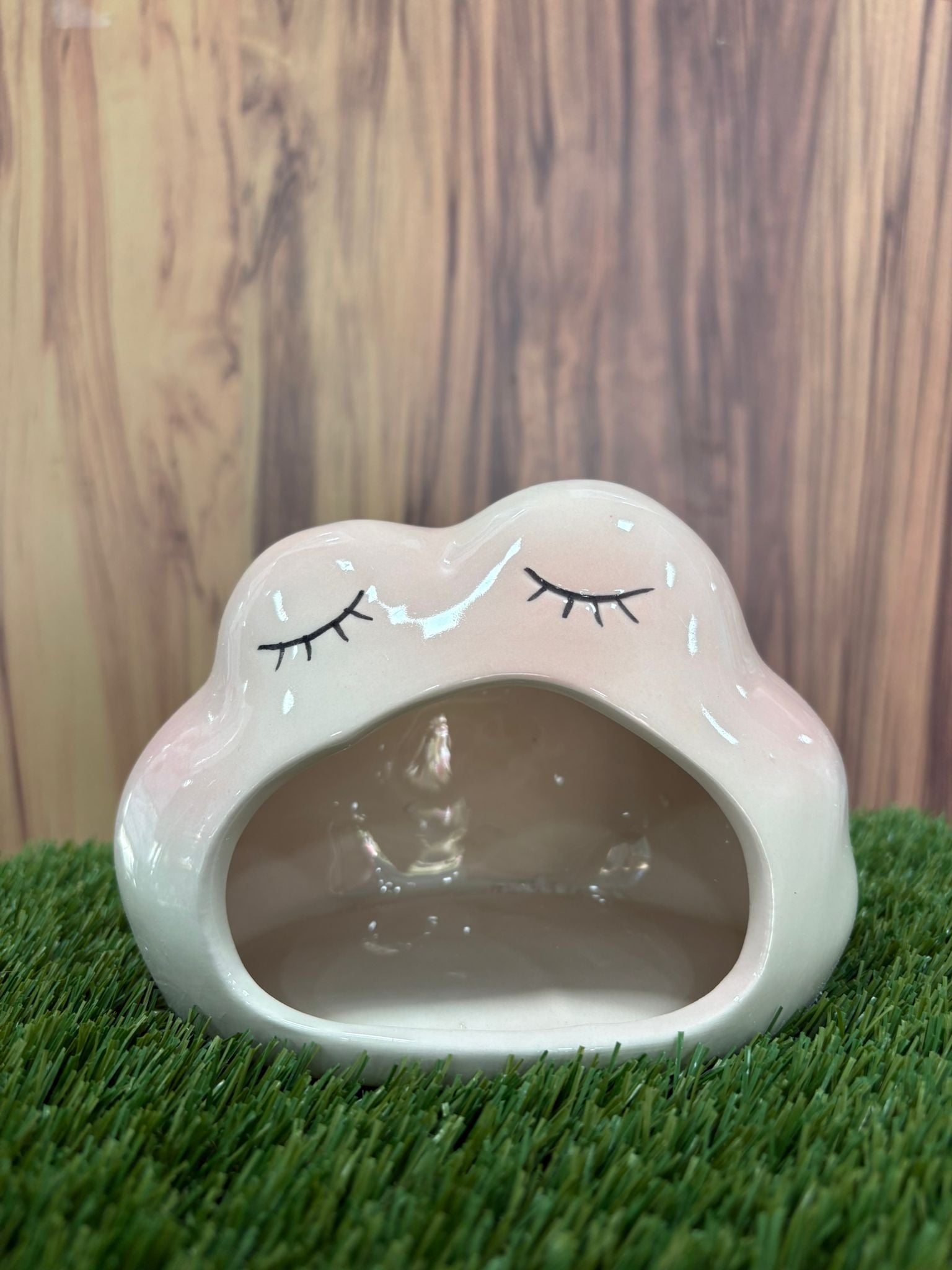 Sleepy Cloud Hideout