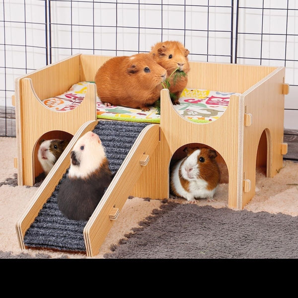 Guinea Pig Hideout (2 storey)