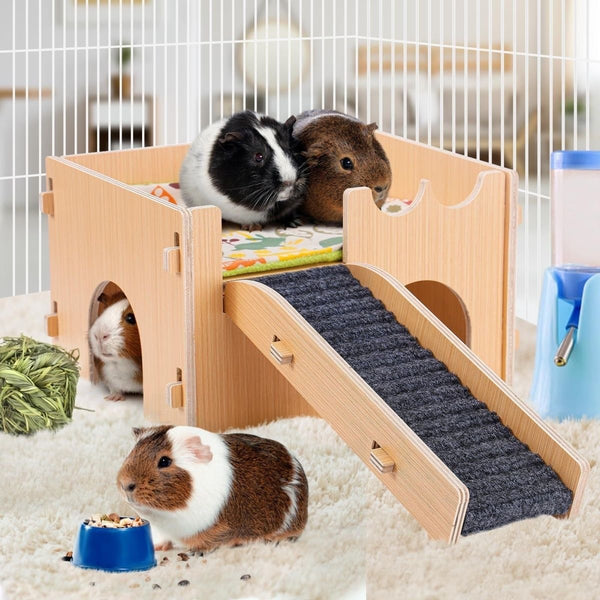 Guinea Pig Hideout (2 storey)