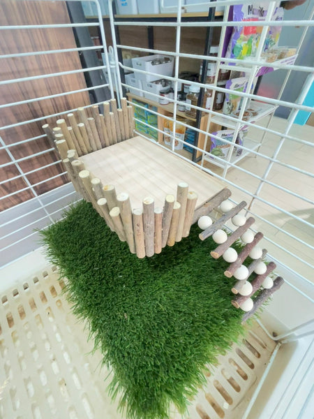 Natural Wooden Hamster Climbing Platform with Bridge Ladder