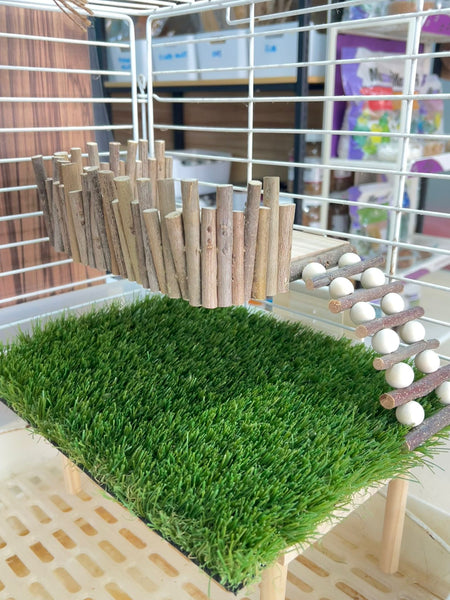 Natural Wooden Hamster Climbing Platform with Bridge Ladder