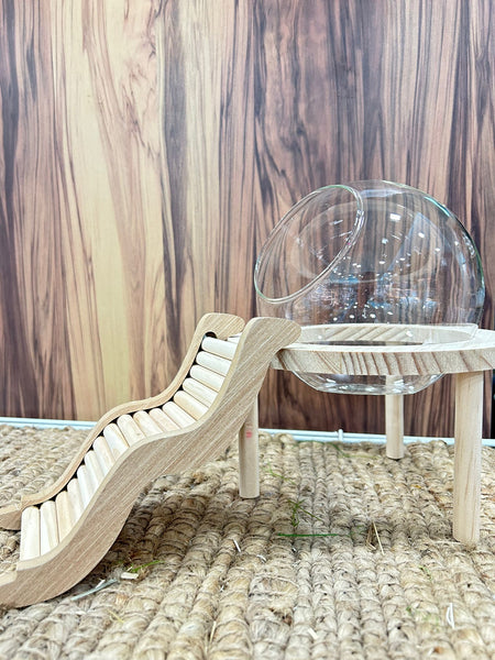 Elevated Glass Hamster Hideout / Toilet with Climbing Ramp