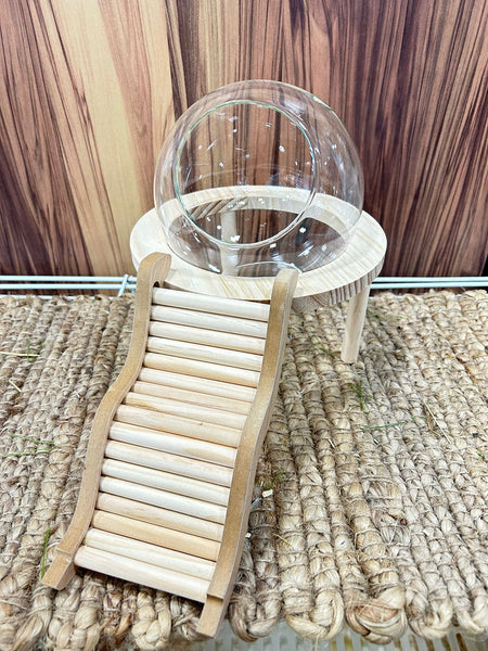 Elevated Glass Hamster Hideout / Toilet with Climbing Ramp