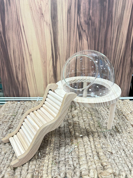 Elevated Glass Hamster Hideout / Toilet with Climbing Ramp