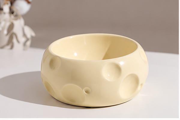 Ceramic Food Bowl
