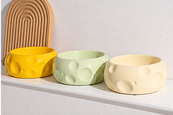 Ceramic Food Bowl