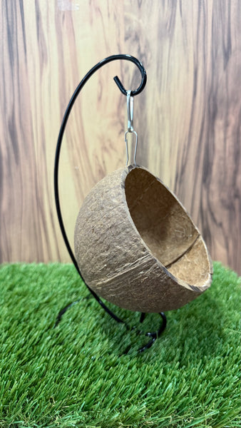 Hanging Suspended Coconut