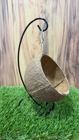 Hanging Suspended Coconut