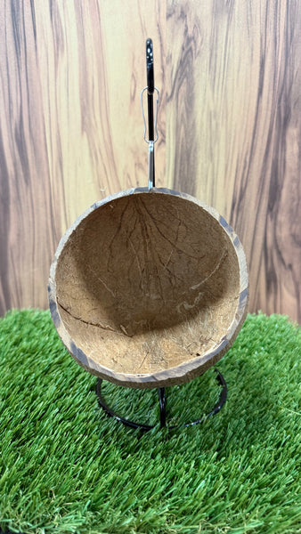 Hanging Suspended Coconut