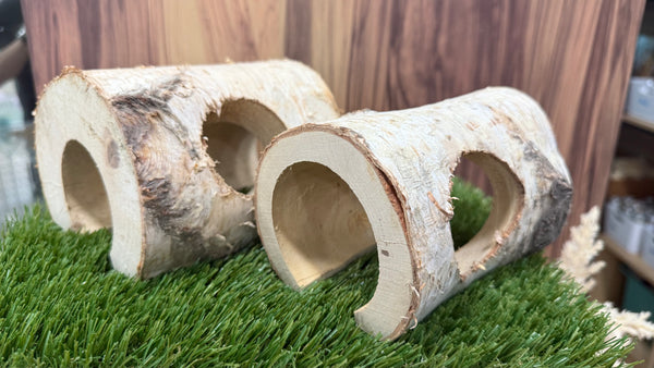 Birch Wood Log