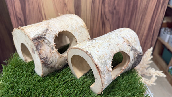 Birch Wood Log