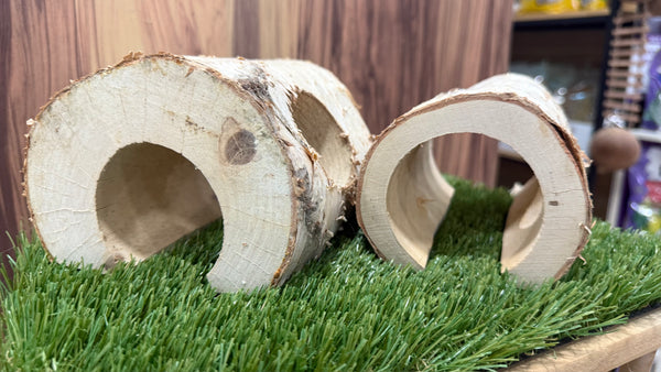Birch Wood Log