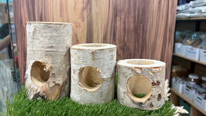 Birch Wood Log