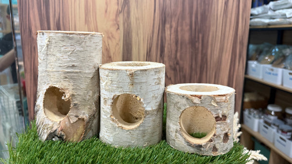Birch Wood Log