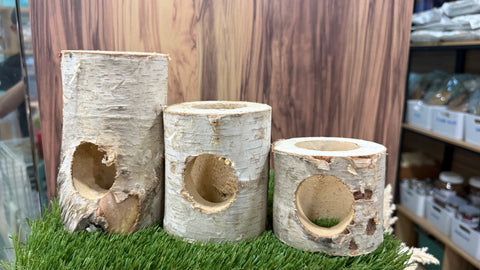 Birch Wood Log