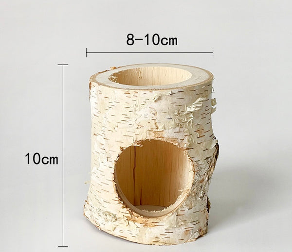 Birch Wood Log