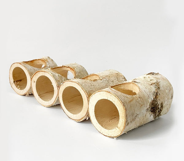 Birch Wood Log