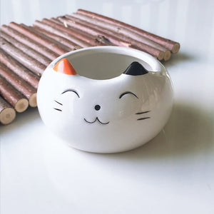 Cat Food Bowl