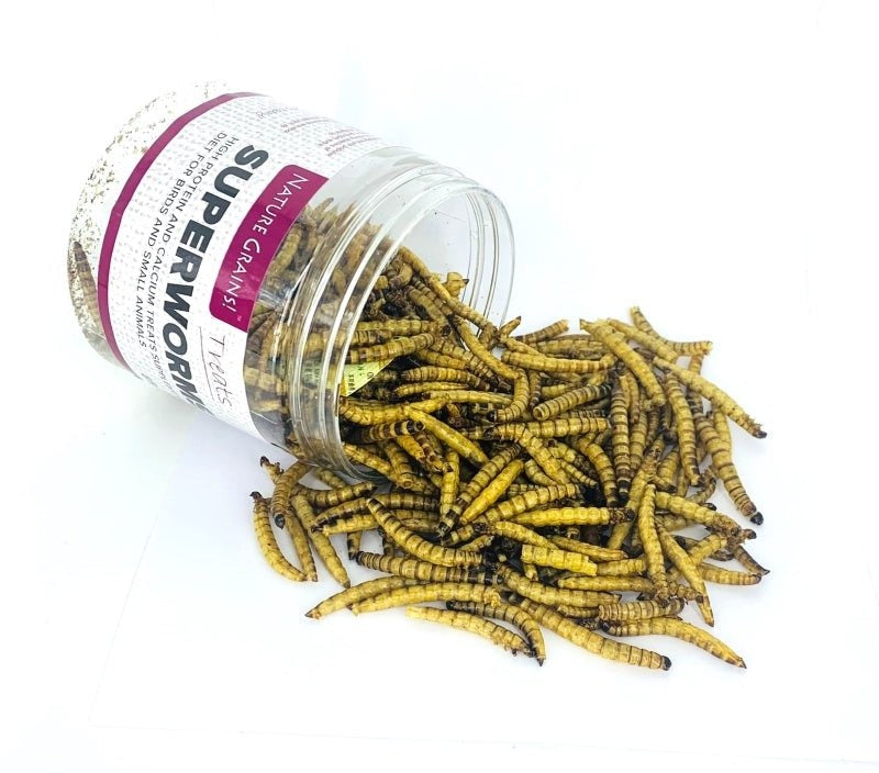Nature Grains! Superworm (550ml / 2600ml) – Pet Fables