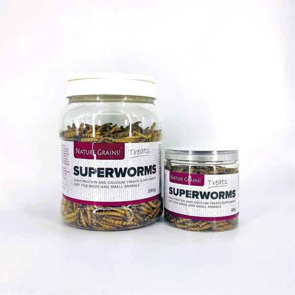 Nature Grains! Superworm (550ml / 2600ml)