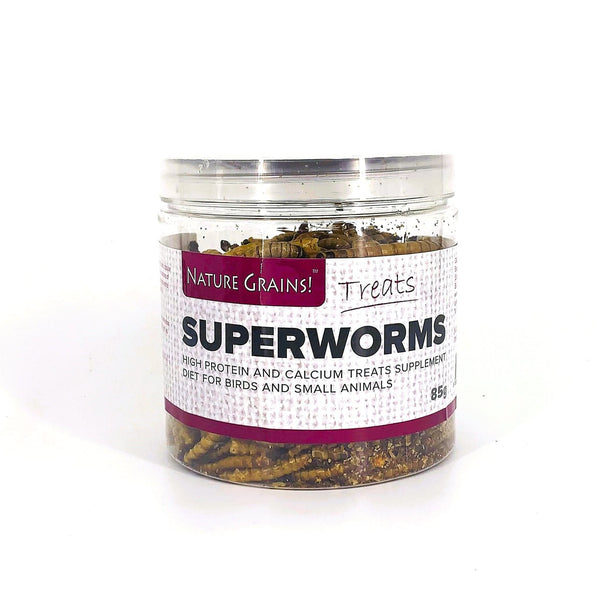 Nature Grains! Superworm (550ml / 2600ml)