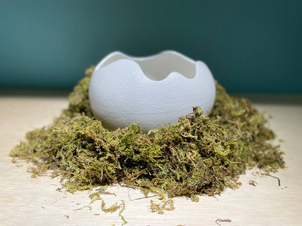 Egg Ceramic Hideout