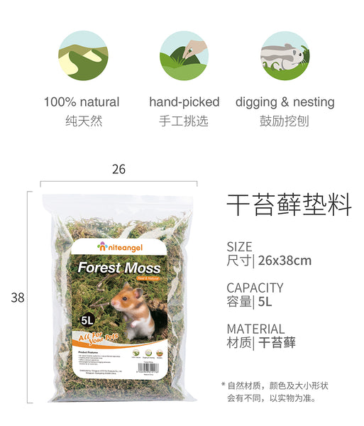 Niteangel Forest Moss 5L