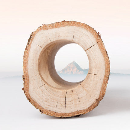 Niteangel Birch Wood Log (M)